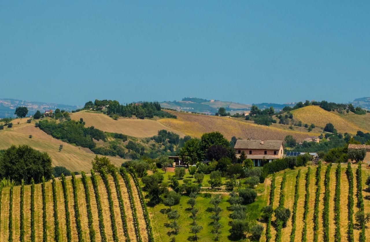 La Vigna Countrybnb Montottone Exterior foto